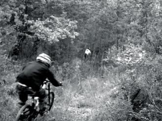Photos/Riding/TibTib.jpg